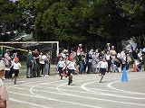 CIMG5479.jpg