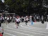 CIMG5502.jpg