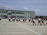 CIMG5532.jpg