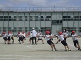 CIMG5537.jpg