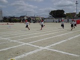 CIMG5581.jpg