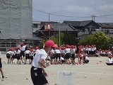 CIMG5594.jpg