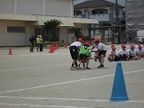 CIMG5672.jpg
